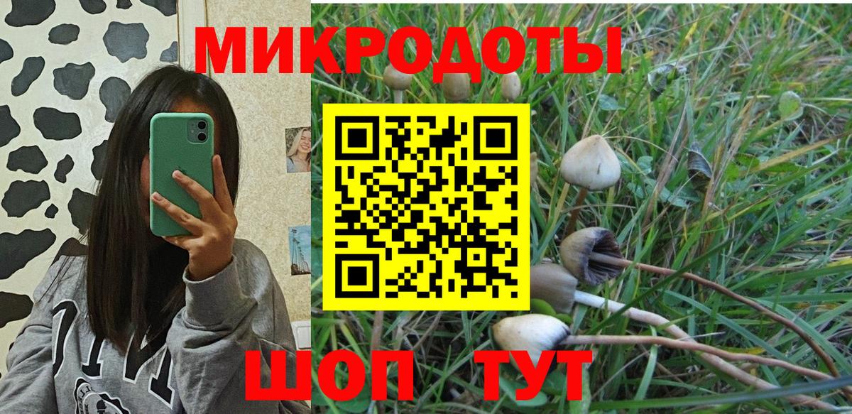 Псилоцибиновые грибы Magic Shrooms Каменск-Шахтинский