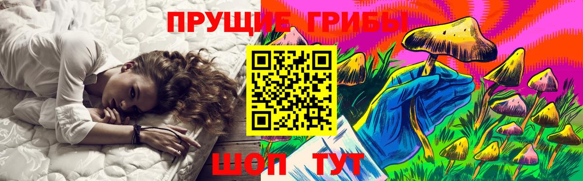 Каменск-Шахтинский  Галлюциногенные грибы MAGIC MUSHROOMS  закладки  Вход с VPN 